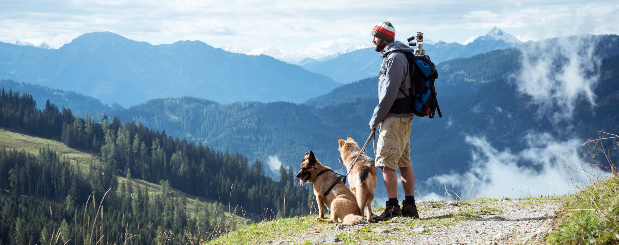 Urlaub mit Hund in Südtirol
