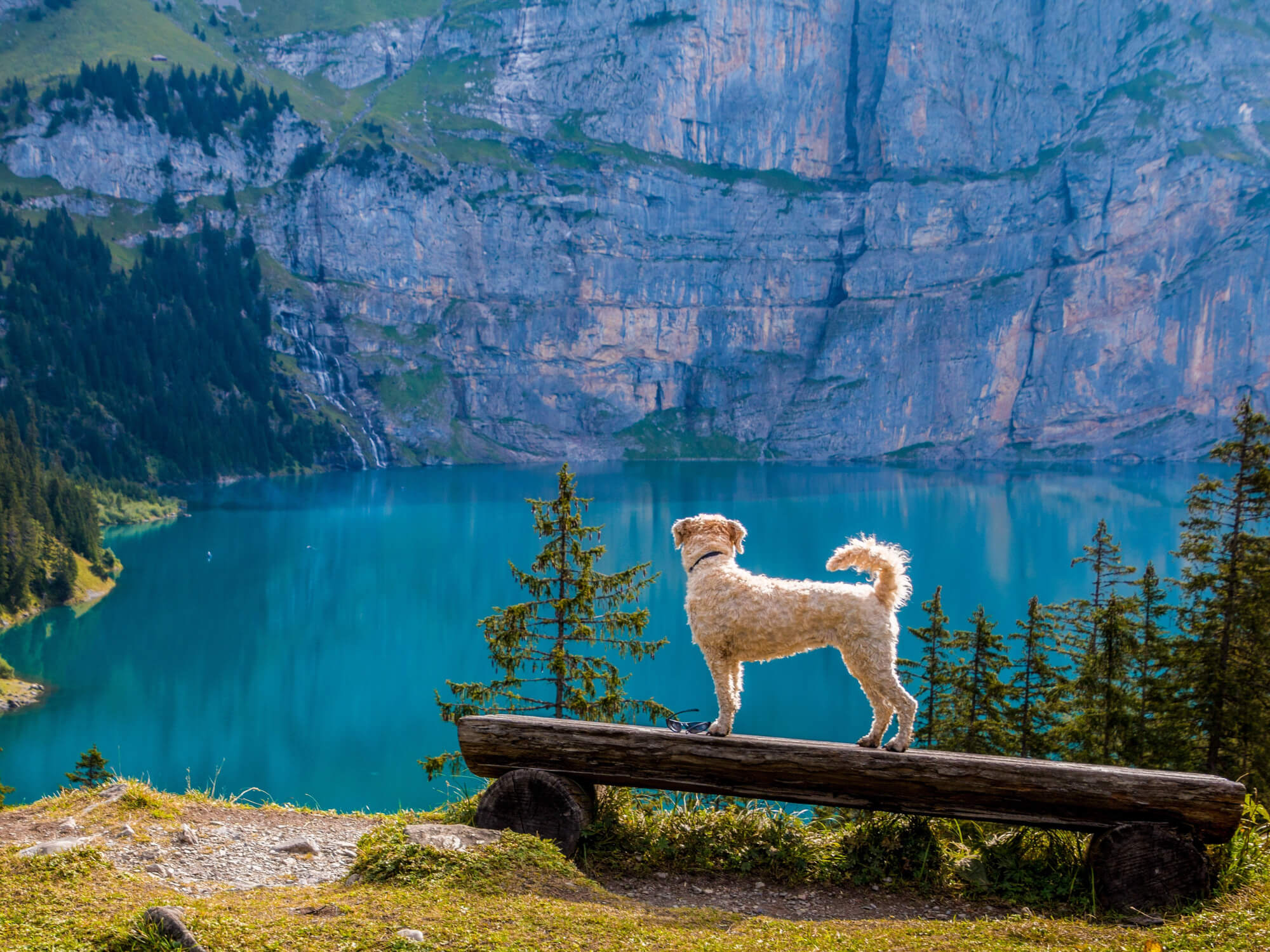 On-Tour mit Vierbeiner